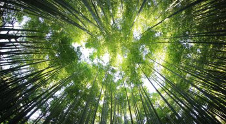 Kazuend 19Sc2oavzw0 Unsplash