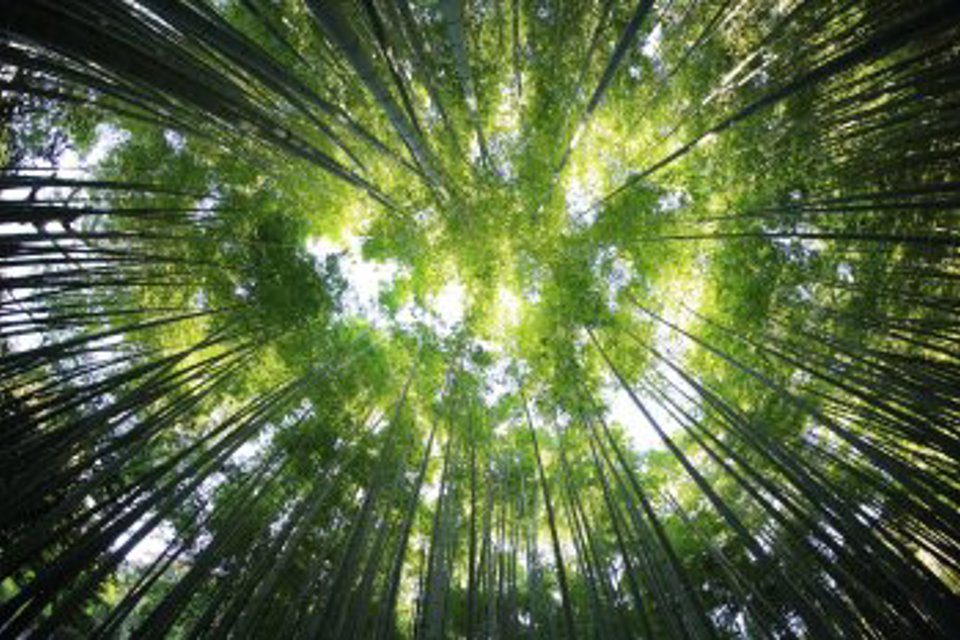 Kazuend 19Sc2oavzw0 Unsplash
