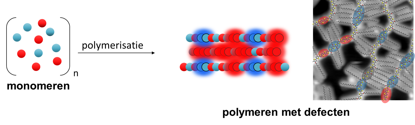 Geconjungeerde Polymeren Met Defecten