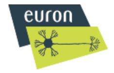 Euron