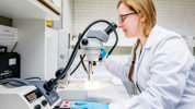 Dierkunde Toxicologie Groep 61