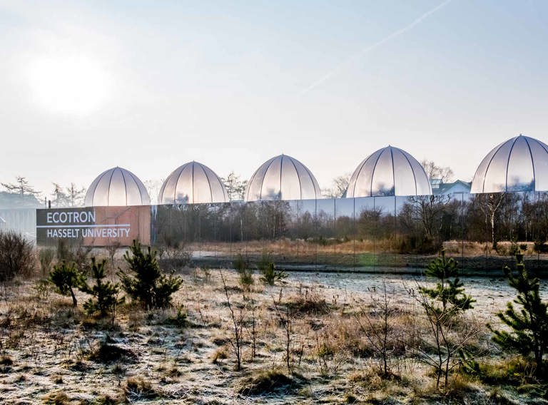 Ecotron Winter