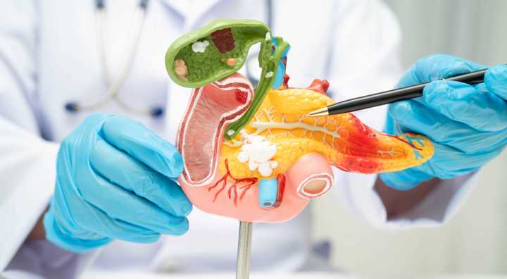 Pancreasfonds