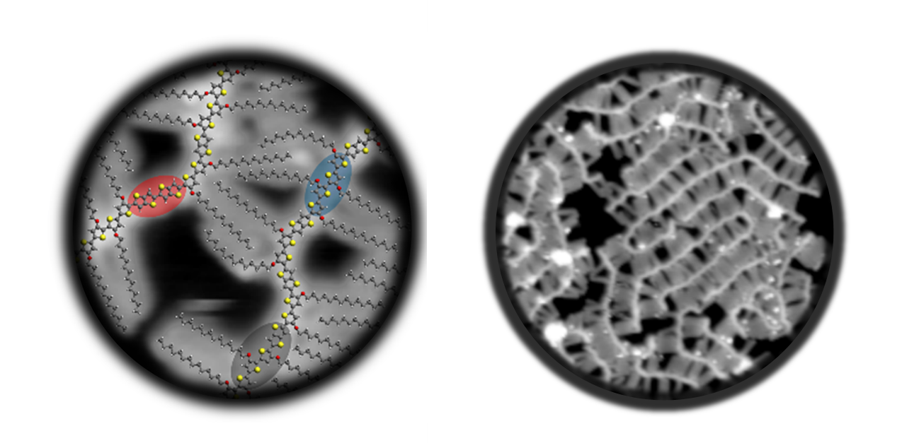 Defecten In Geconjungeerde Polymeren