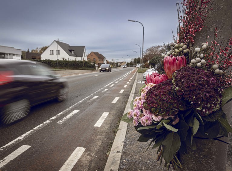 Stille Toch Steenweg Diepenbeek Voor Els