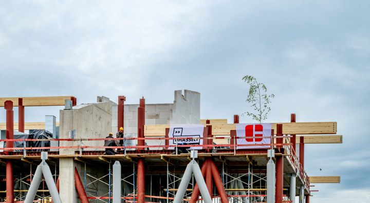 Meiboom Nieuw Campusgebouw Uhasselt