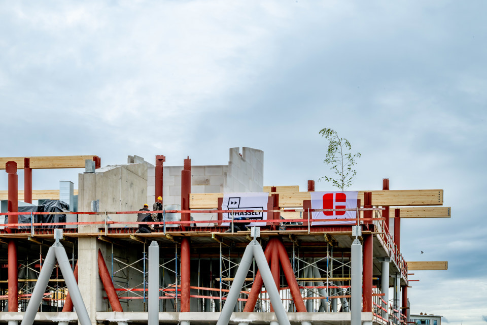 Meiboom Nieuw Campusgebouw Uhasselt