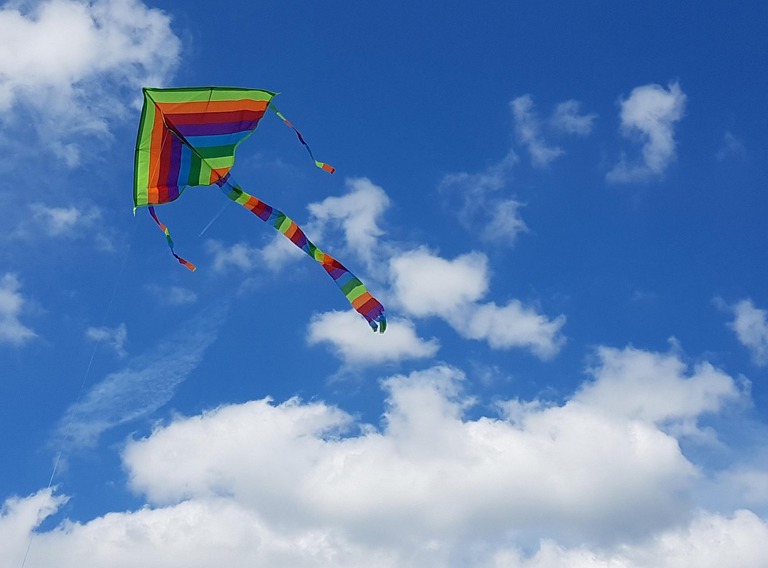 Kite 2667477 1280 (1)