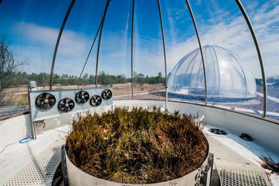 Multidisciplinary Research Ecotron