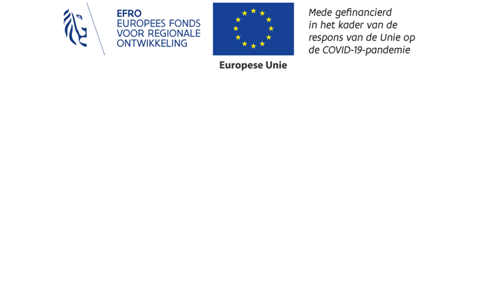 Logo Efro 2