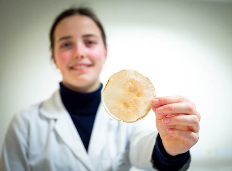 foto: isolatiematerialen gemaakt uit mycelium