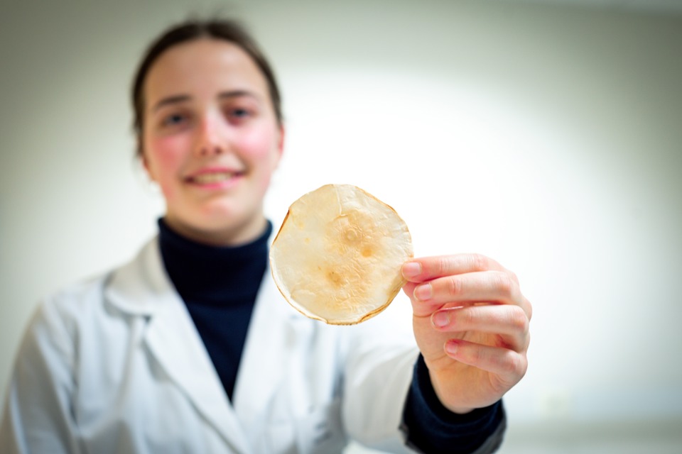 foto: isolatiematerialen gemaakt uit mycelium