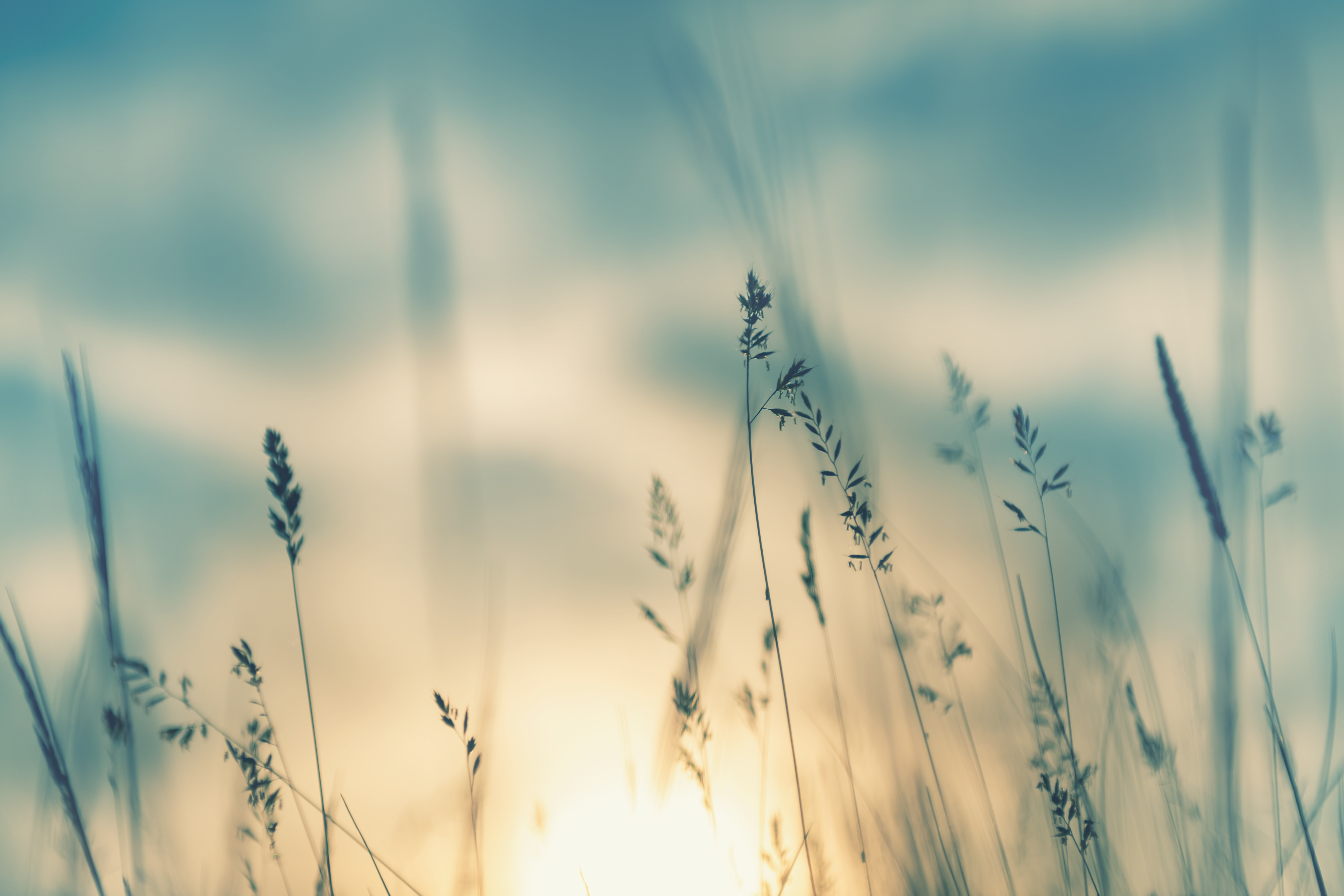 Adobestock 357854155 (1)