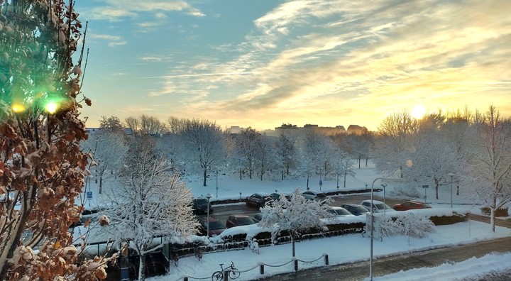IMG 20221122 084256 Hdr
