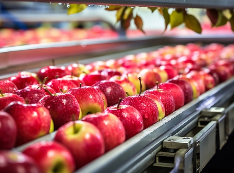 Fruit Agriculture
