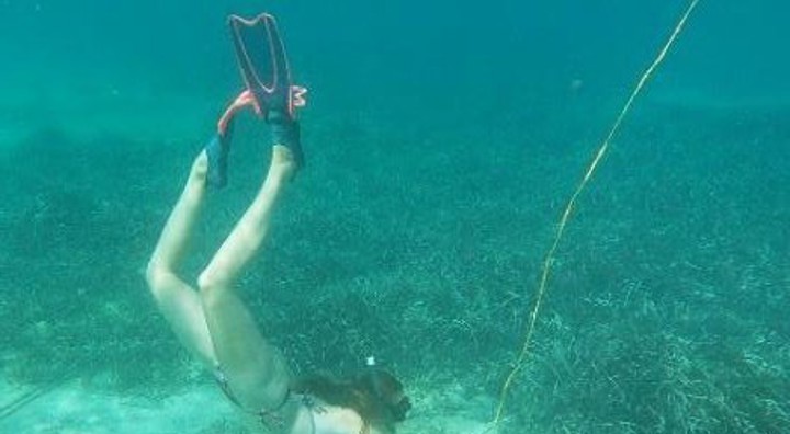 Lonneke Hendriksen BIO Internship Zomer 2021