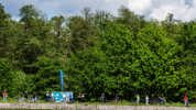 24 05 05 Regatta WEB 012