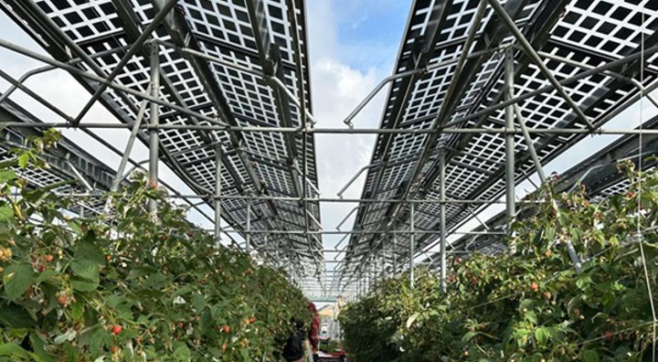 Voorbeeld Van Agri PV
