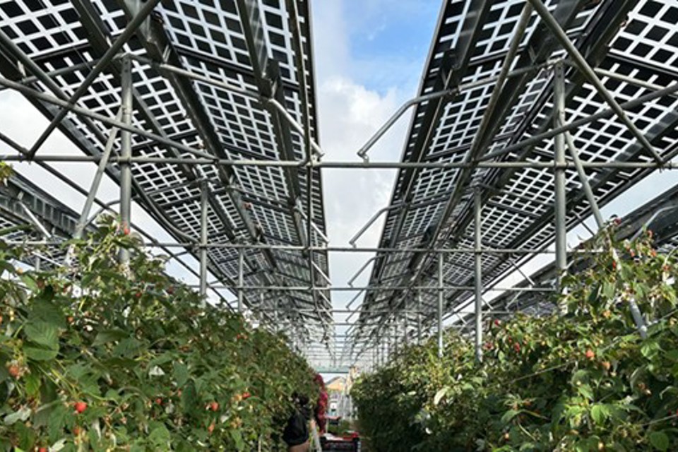 Voorbeeld Van Agri PV