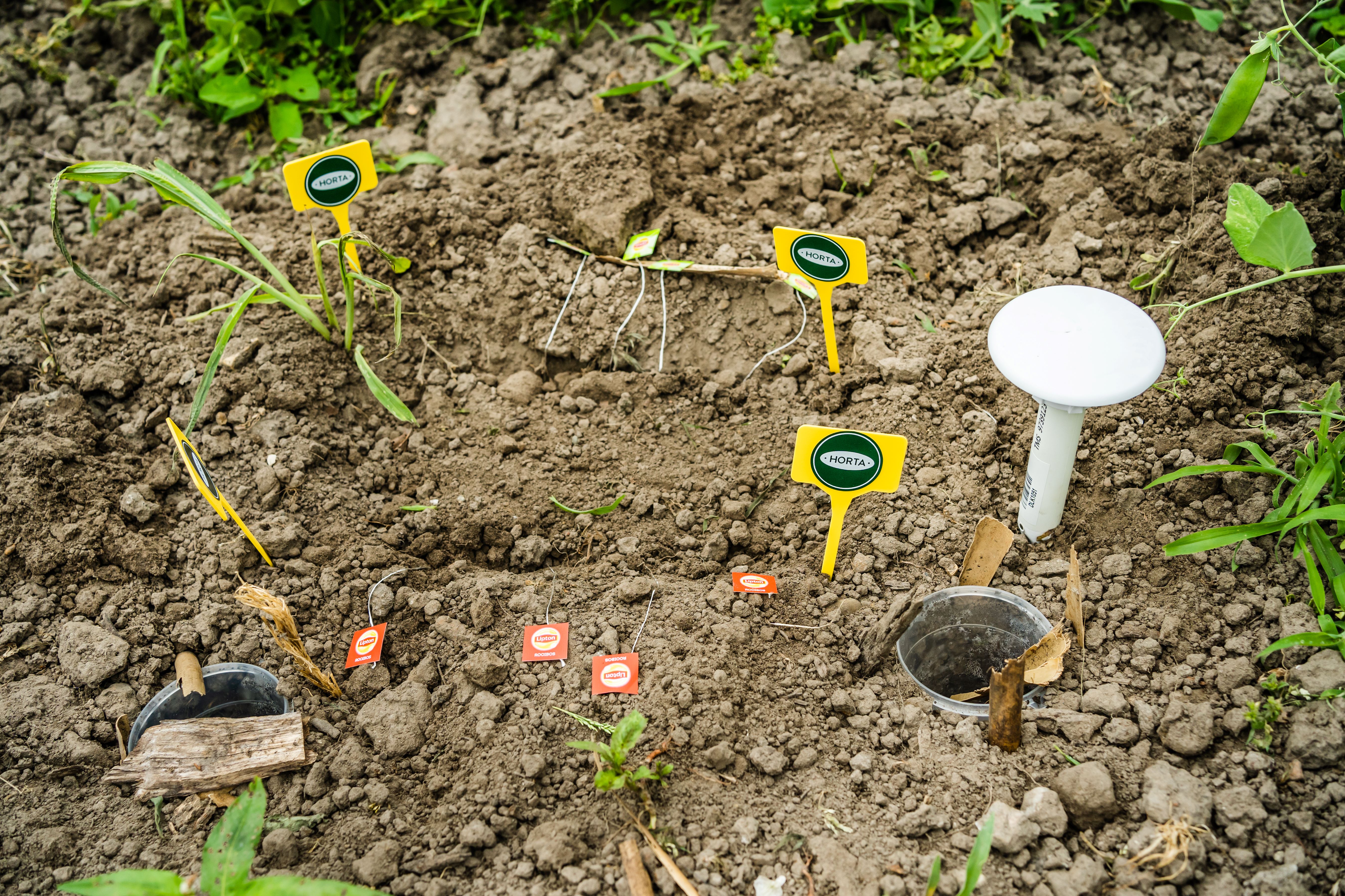 Ingegraven Theezakjes En Bodemsensor