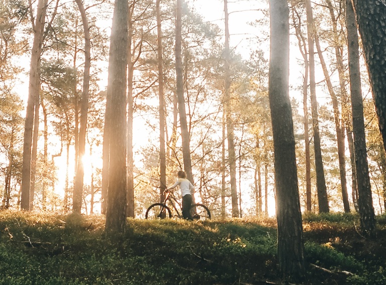 Burnout Natuur