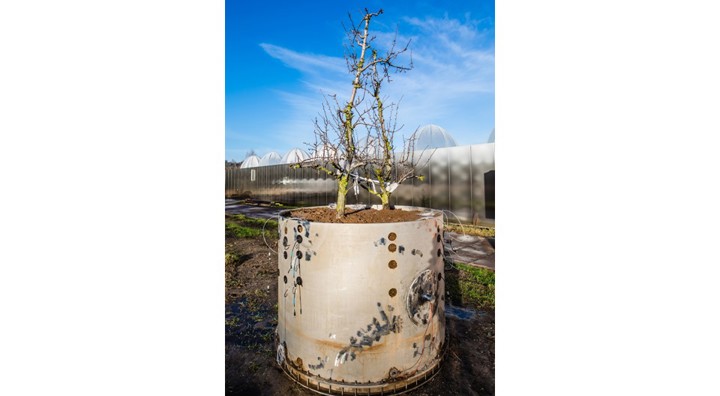 Ecotron Qpear 095