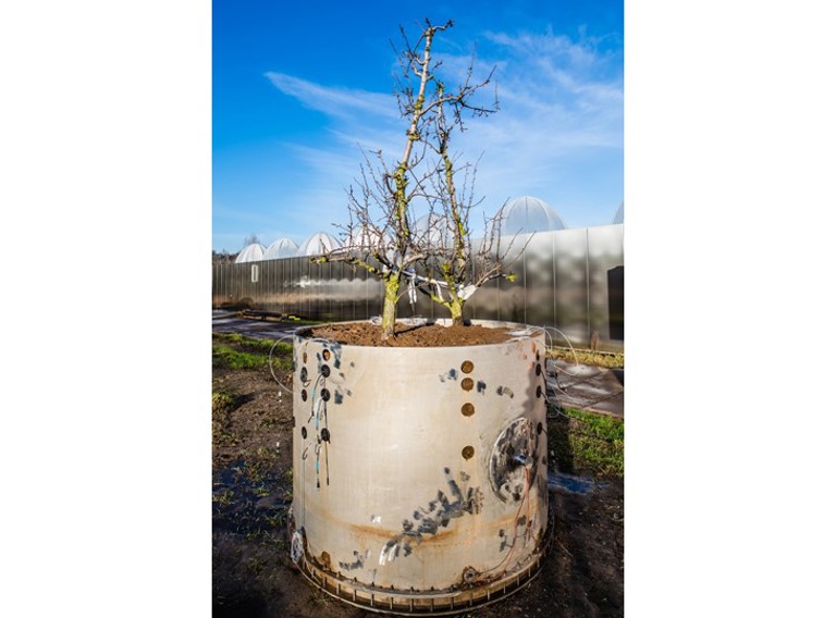 Ecotron Qpear 095