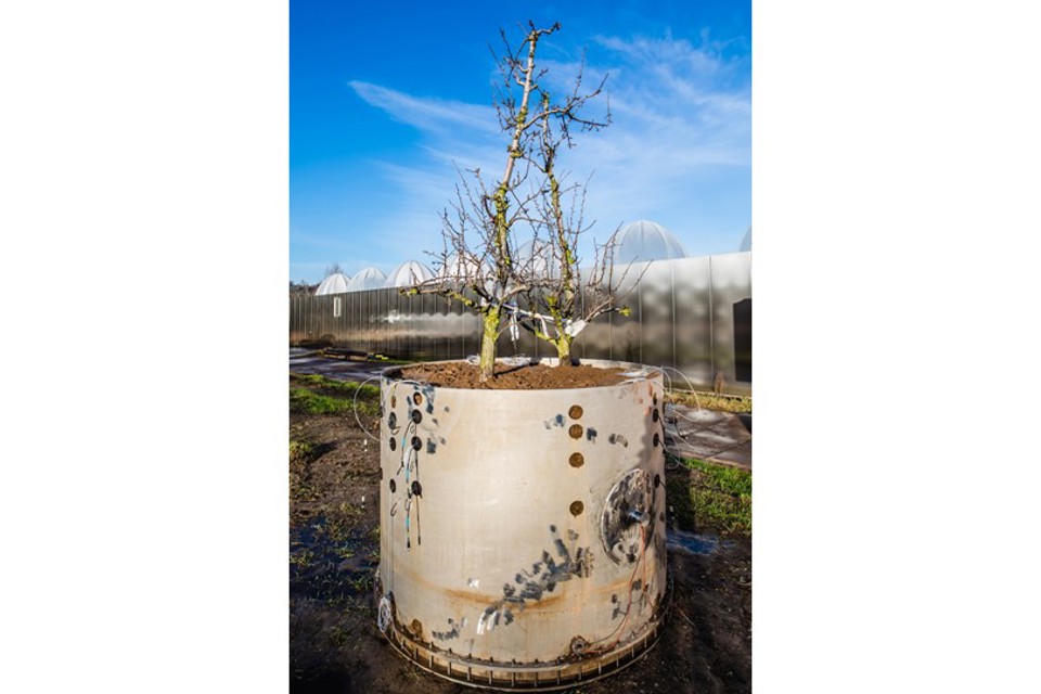 Ecotron Qpear 095