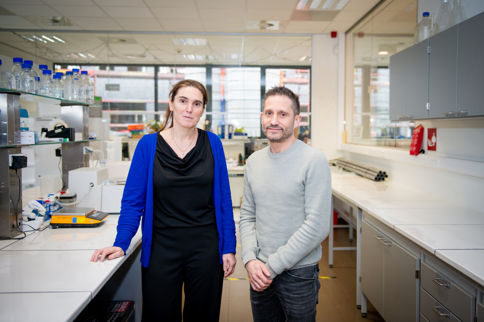 Ilse Dewachter & David Wilson 1