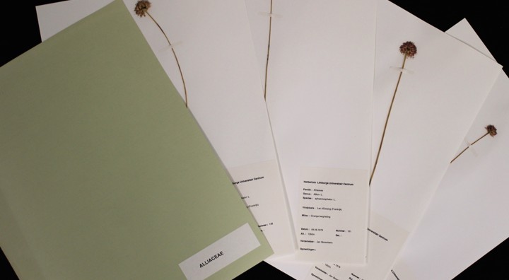 Herbarium 1 (1)