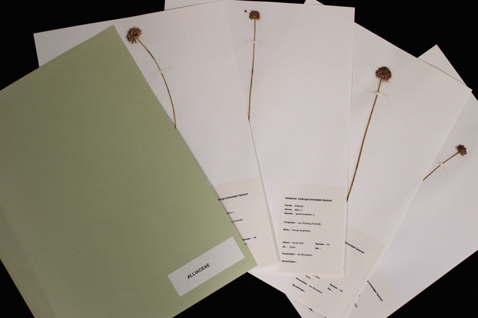 Herbarium 1 (1)