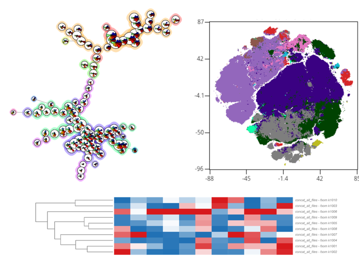 Analysis Flow Cytometry Unit