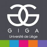 Gigalog 400X400