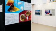22 11 17 Imaginary Tentoonstelling 15