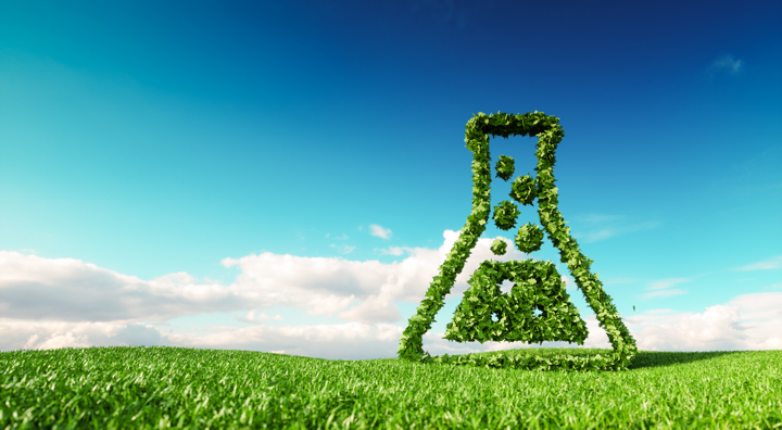 Erlenmeyer Groen