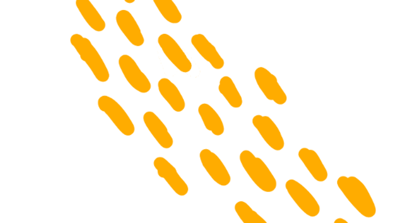 Image Website 5